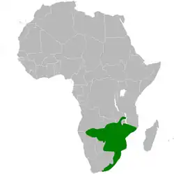 &nbsp;&nbsp;&nbsp;&nbsp;&nbsp;Distribución del carbonero negro.