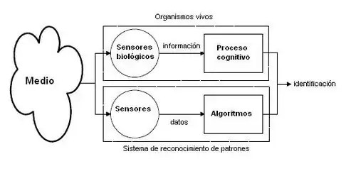 El sistema intenta imitar a los sensores biológicos y procesos cognitivos de los seres humanos