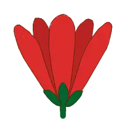 Perianto dialisépalo y dialipétalo(la condición ancestral).