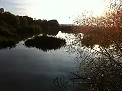 Marismas en el Sitnica