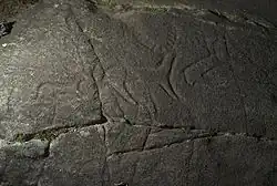 Petroglifos gallegos: cérvidos