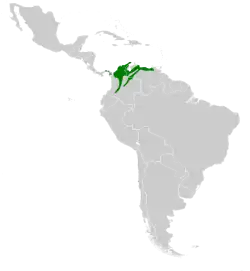 Distribución geográfica del ermitaño ventripálido.