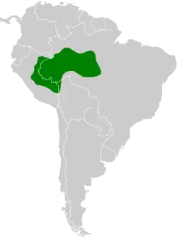 Distribución geográfica del ermitaño picoaguja.
