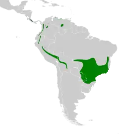 Distribución geográfica del ticotico ocráceo grande.