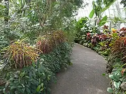 Interior del invernadero.