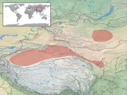 Range of Phrynocephalus versicolor