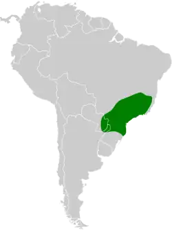 Distribución geográfica del orejerito cejudo.