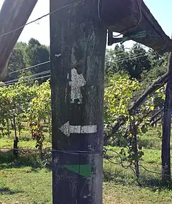 Señal de la Vía Francígena entre Viverone y Santhià.