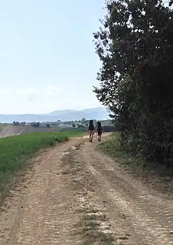 La Vía Francígena entre Fidenza y Fornovo di Taro.