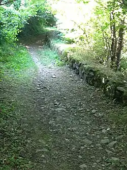 La Vía Francígena poco antes de llegar a Berceto.