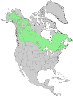 Distribución general