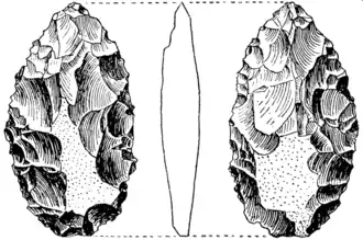 Pieza foliácea stillbayense