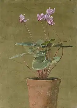 Ciclamen rosa, c.&nbsp;1870s