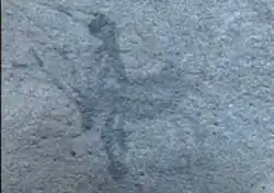 Pintura Rupestre - Valle Seco B.C. - Hombre montando venado.png