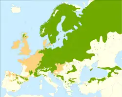 Mapa de distribución europea de Pinus sylvestris : ✖ Distribución continua nativa y población aislada : ✖ Área continua introducida y naturalizada (sinantrópica) y población aislada