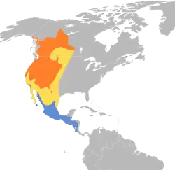 &nbsp;&nbsp;&nbsp;&nbsp;&nbsp;Área de nidificación&nbsp;&nbsp;&nbsp;&nbsp;&nbsp;En vuelo migratorio&nbsp;&nbsp;&nbsp;&nbsp;&nbsp;Área de invernada
