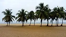 Una playa de arena bordeada de palmeras en Lomé, Togo.