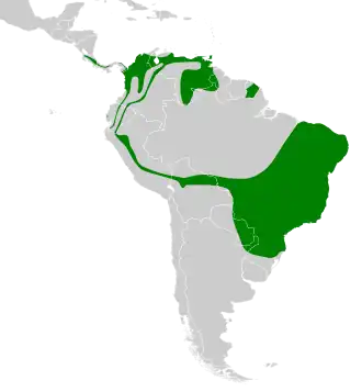 Distribución geográfica del picoplano bigotudo (incluyendo el grupo albogularis).