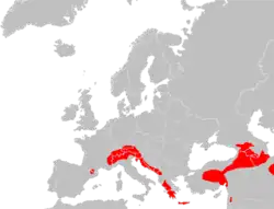 Distribución de P. macrobullaris.