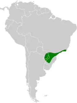 Distribución geográfica de la tacuarita blanca.