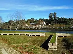 Camino de juncos de Enrique Velasco