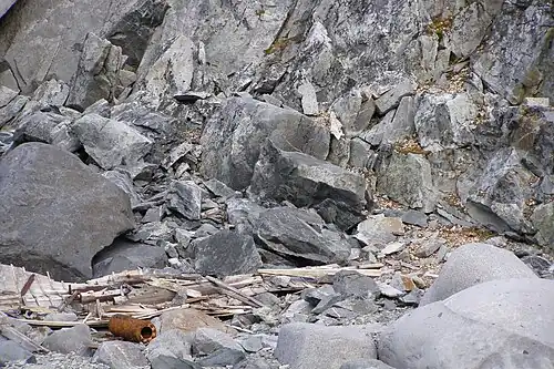 Restos del bote dejado por Charcot en 1904