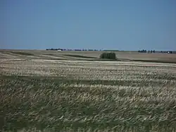 Pradera en Alberta, Canadá.