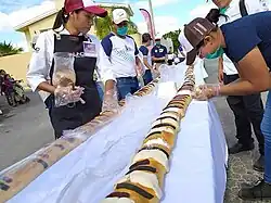 Iniciando los preparativos