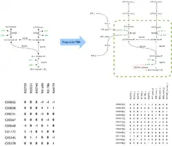 Stoichiometric matrix of the top of glycolsis