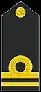 Insignia de Teniente primero de la Marina de Brasil.