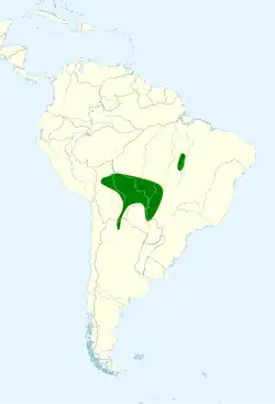 Distribución del Primolius auricollis