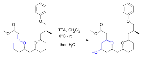 Prins Reacción Kwon 2008