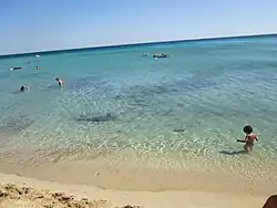 Punta Prosciutto, playa del Salento