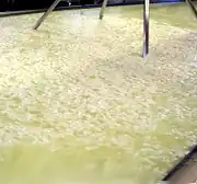 Proteína de suero de leche