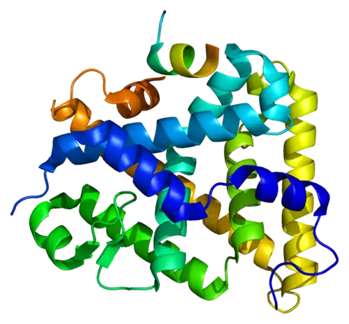 Protein NR5A1 PDB 1ymt