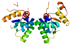 estructura de la proteína SMG5