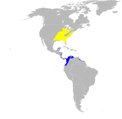 Distribución: Amarillo: anidamiento Azul: invernal