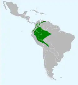Distribución en verde.