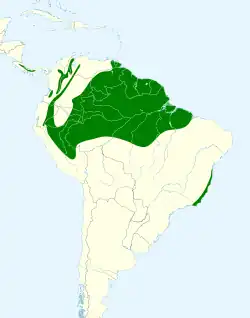 Distribución geográfica del saltarín coroniblanco.