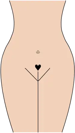 «Corazón de San Valentín»