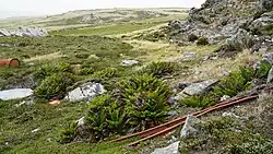 Rieles tomados de Moody Brook y dejados por las tropas argentinas en las colinas próximas.