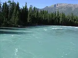 Río Kanas, parte del río Etix hasta el Océano Ártico, vista desde la barca de rafting