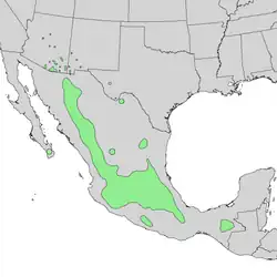 Distribución natural de Quercus rugosa