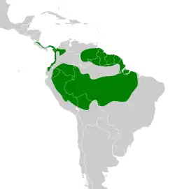 Distribución geográfica del cotinga querula.