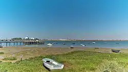 Marismas y Riberas del Tinto