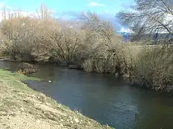 El Adaja a su paso por el valle de Amblés a 10 km de su nacimiento.