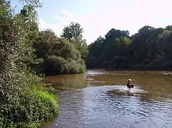 Sotos del río Alberche