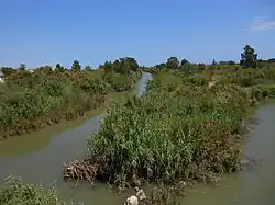 Ríos Guadalhorce, Fahalas y Pereilas