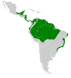 Distribución geográfica del soterillo picudo.