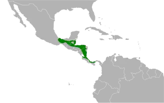Distribución geográfica de la tangara acollarada.